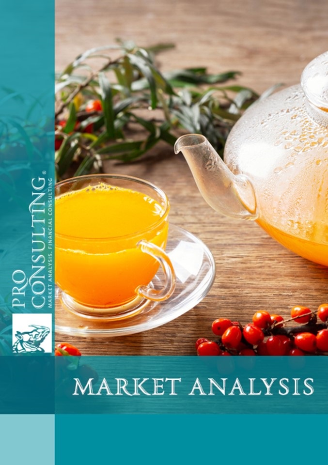 Market research report on tea concentrate in Ukraine. 2024 year